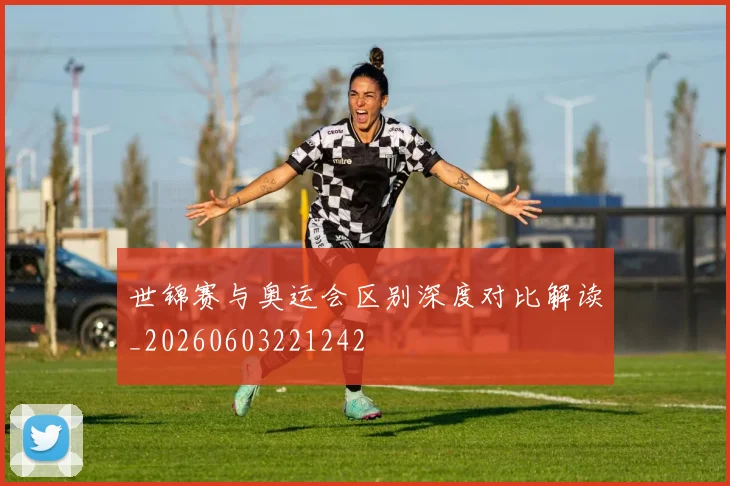 世锦赛与奥运会区别深度对比解读_20260603221242