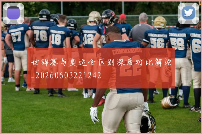 世锦赛与奥运会区别深度对比解读_20260603221242